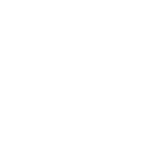 Lallemand Brewing LinkedIn page link