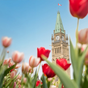 A view of the Parliament Building in Ottawa