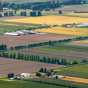 Aerial view of a sprawling farm with neatly arranged fields and crops under a clear blue sky.