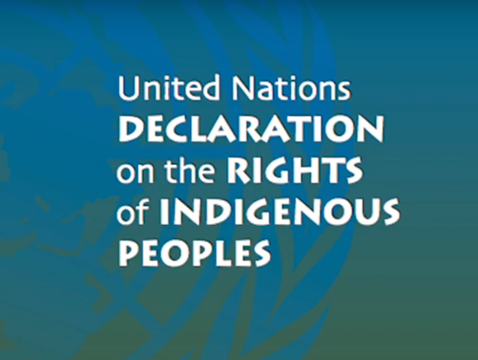 UN Declaration on the Rights of Indigenous Peoples