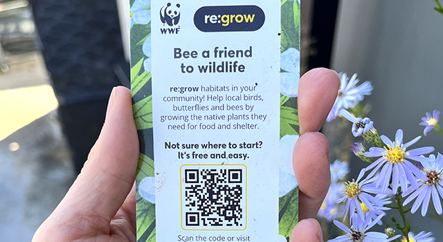 Plant tag illustrated with flowers and bee, which reads: Bee a friend to wildlife. re:grow habitats in your community! Help local birds, butterflies and bees by growing the native plants they need for food and shelter. Not sure where to start? It's free and easy. Scan the code or visit wwf.ca/regrow.