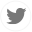 Twitter icon
