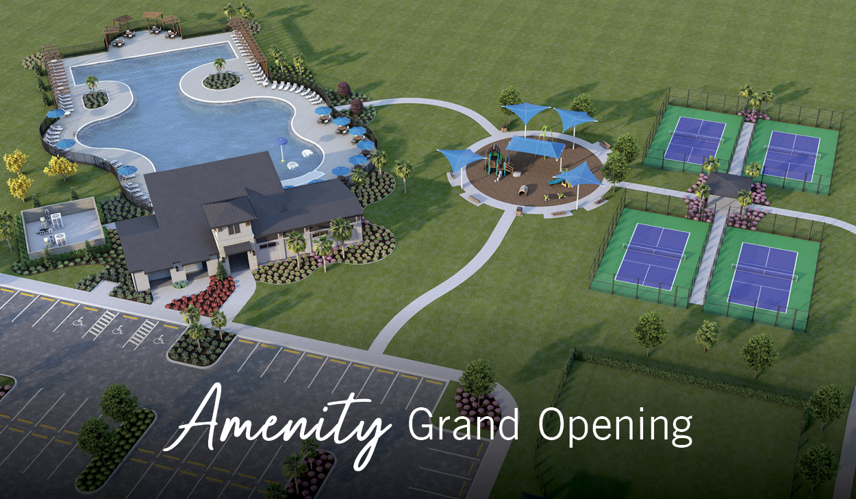 amenity grand opening